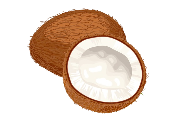 Coconut Oil Icon